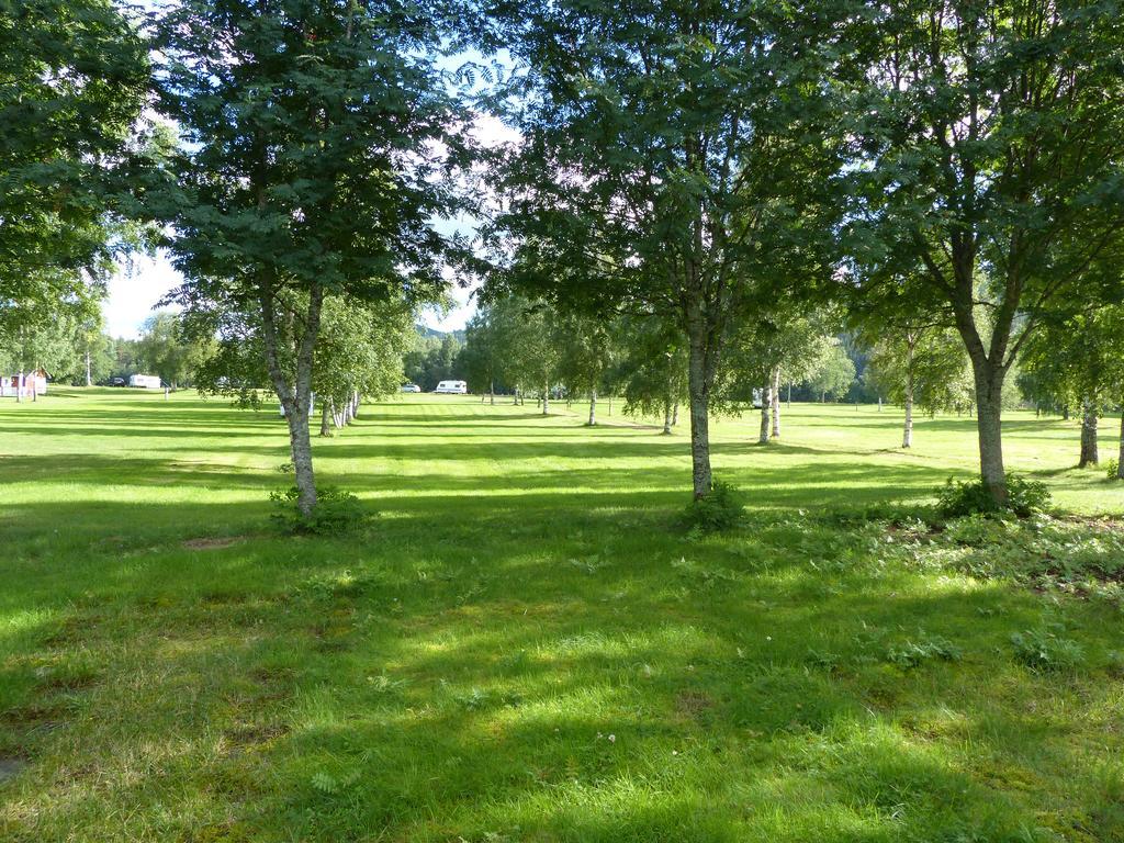 Bjoerkebo Camping Stöllet Dış mekan fotoğraf