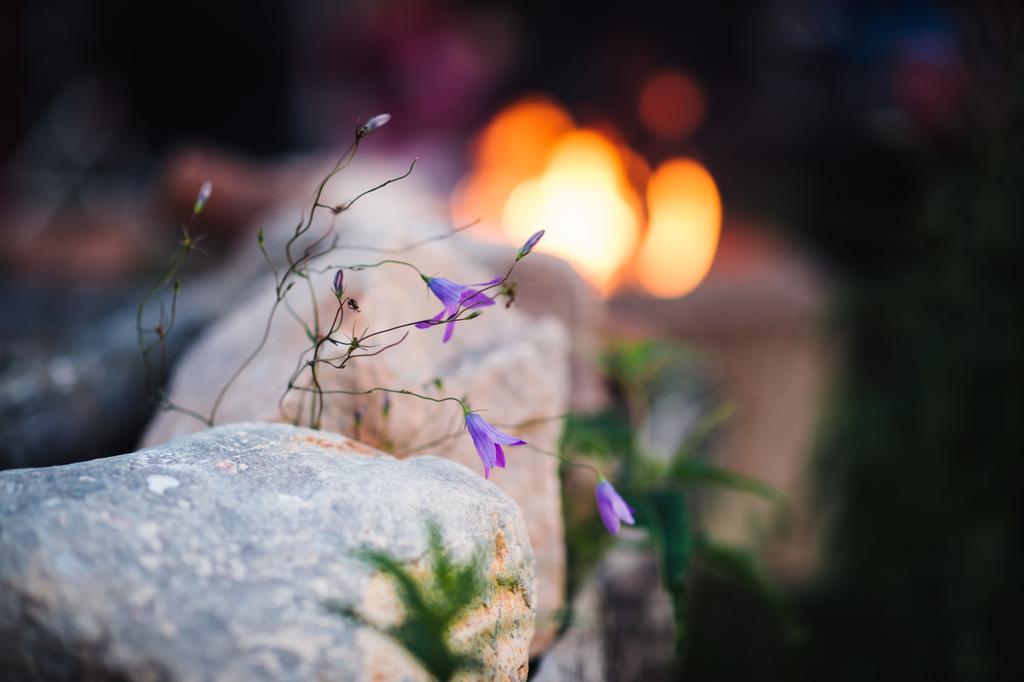 Bjoerkebo Camping Stöllet Dış mekan fotoğraf